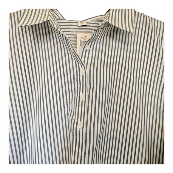 Coldwater Creek Tunic Shirt Embroidered Stripe Pullover with Buttons XL NWT - Picture 4 of 9